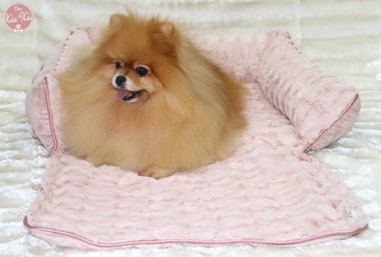 Camas para hotsell perros pomerania